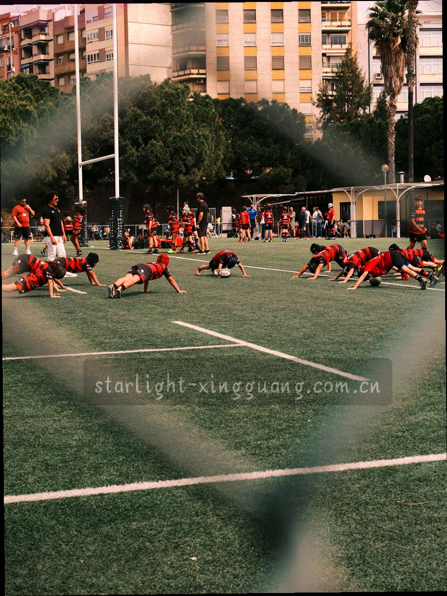 手机端阵容确认卡片界面，首发、替补与伤停用不同标签分区显示